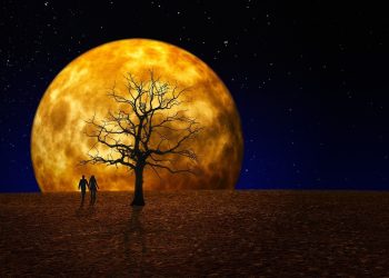 Έλληνες & Κλιματική αλλαγή: Στάσεις & Απόψεις