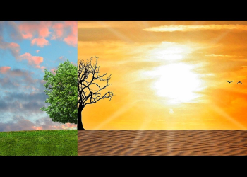 Η Φύση ως Νομικό Πρόσωπο